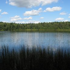 Nature reserve Czarnówek Lake