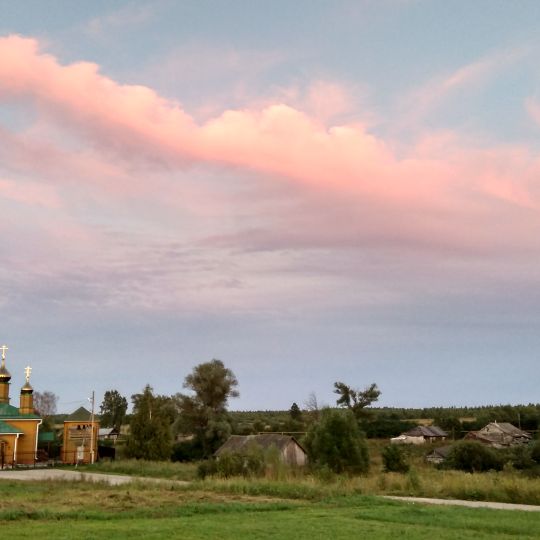 Николай Дар