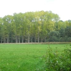 Stadtbruch von Volkmarsen