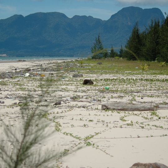 Parc national des Kuching Wetlands
