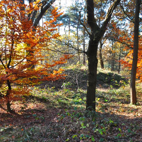 Landweer: Groote Heide