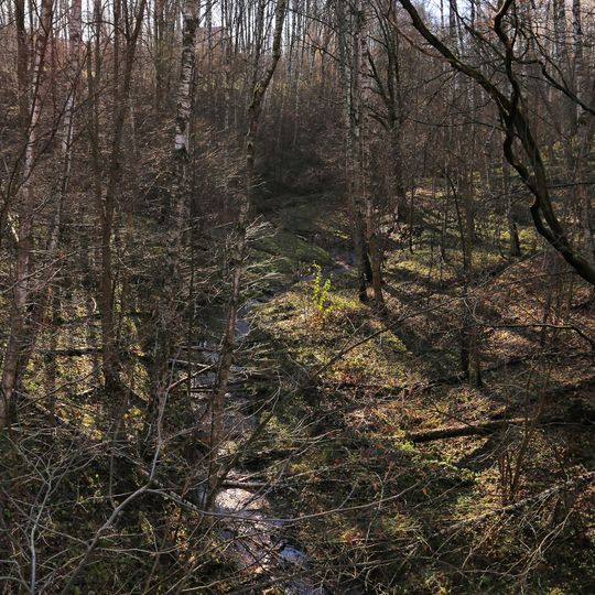 Место проведения маевок рабочих в 1905-1906 гг.