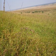 Гора «Цимбал»