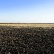 Burnt Fen