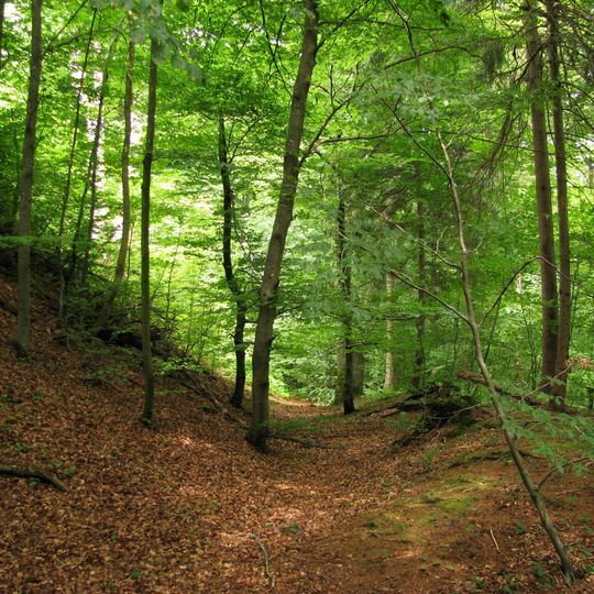 Burgstall Schlossberg