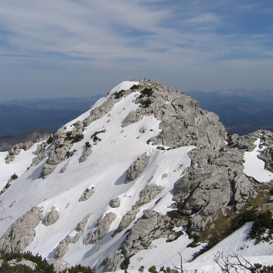 Risnjak