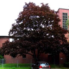 Evangelische Friedenskirche