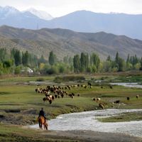 Provincia de Ysyk-Kol