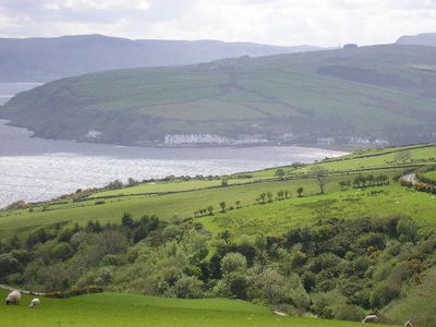 Immagine alternativa