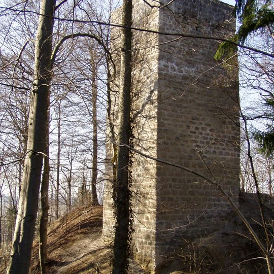 Burg eines Ortsadels