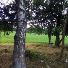 Kříž jižně od Těchobuzi