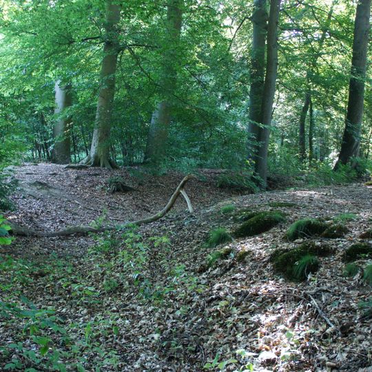 Harpstedter Niederungsburg