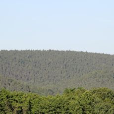 Menschenkopf