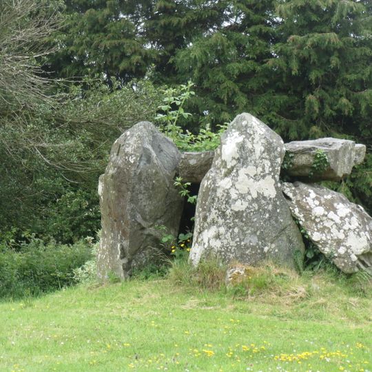 Portal Tomb von Drumhawnagh