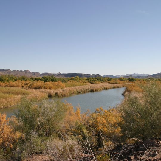 Bill Williams River National Wildlife Refuge