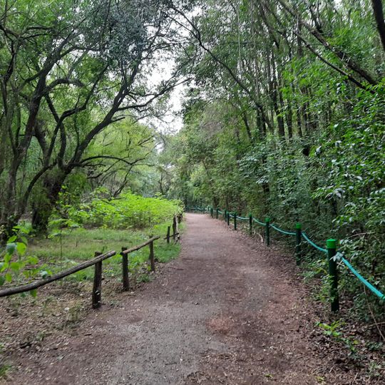 Park Narodowy Ciervo de los Pantanos