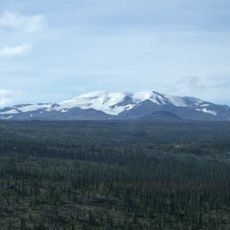 Northern Cordillera forests