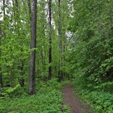 Парк (Косинское)