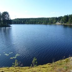 Malingarna