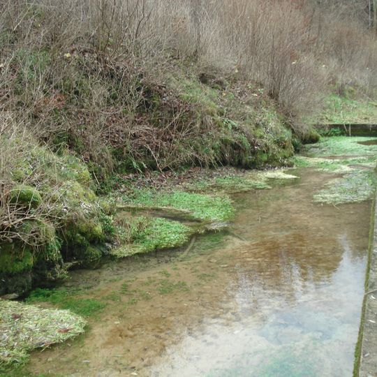 Karstquelle Ehrhardsmühle