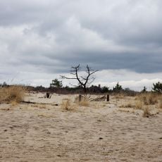 Weekapaug Beach