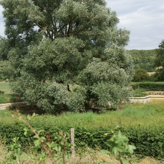 Kasteel Neercanne: park en tuinaanleg