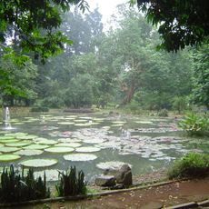 Jardin botanique de Bogor