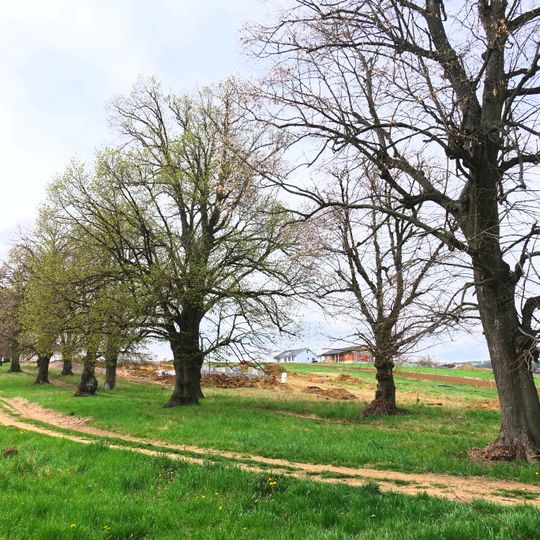 Kúria s areálom, aleja