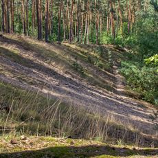 Sandfluren bei Volkach, Schwarzach am Main und Sommerach