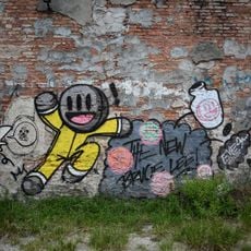Bruce Lee Cat Mural