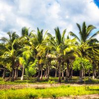 West Godavari district