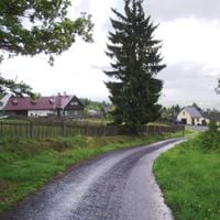 Nepomuk (Boemia centrale)