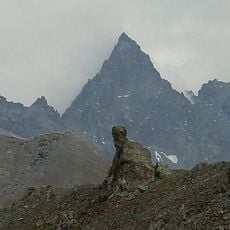 Visolotto