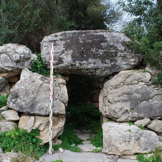 Talaiot de Son Coll Nou