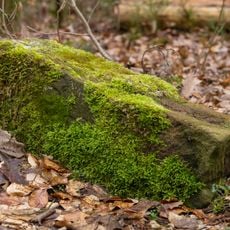 Grenzstein Heilstättenstraße 130 in Zirndorf