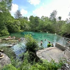Ichetucknee Springs