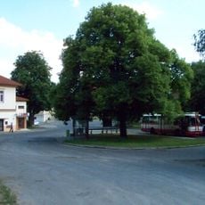 Lípa na náměstí Padlých v Nebušicích