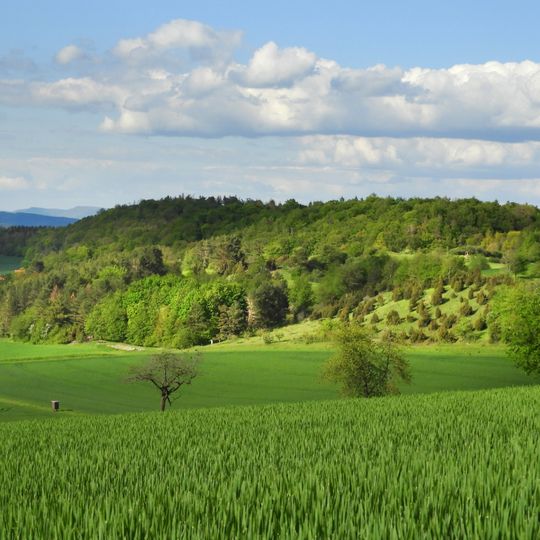 Wacholderberg und Schmiedsberg bei Dens