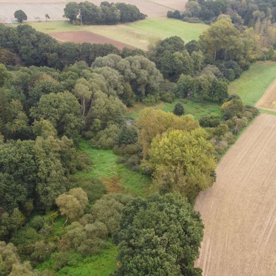 Biedenbacher Teiche bei Florshain