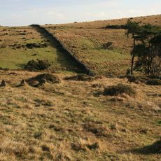 Multiple stone alignment and associated cairns west of Glasscombe Upper Plantation