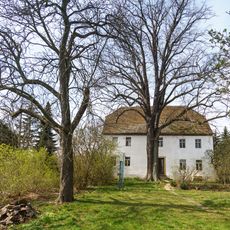 Tilia cordata in Neußen