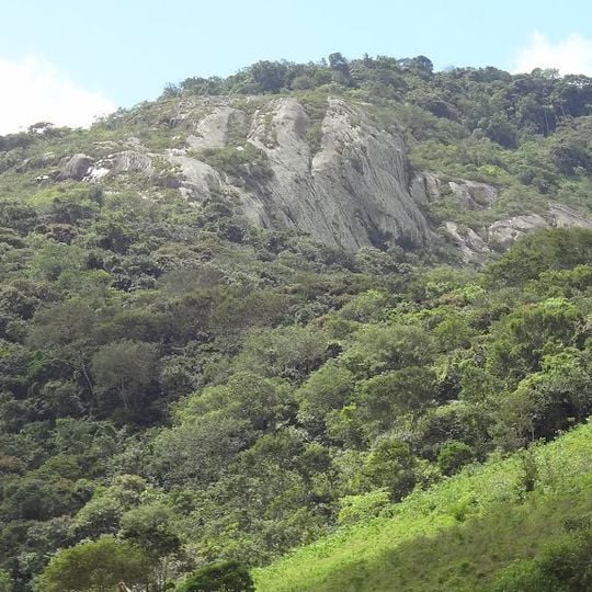 Pedra Talhada Biological Reserve