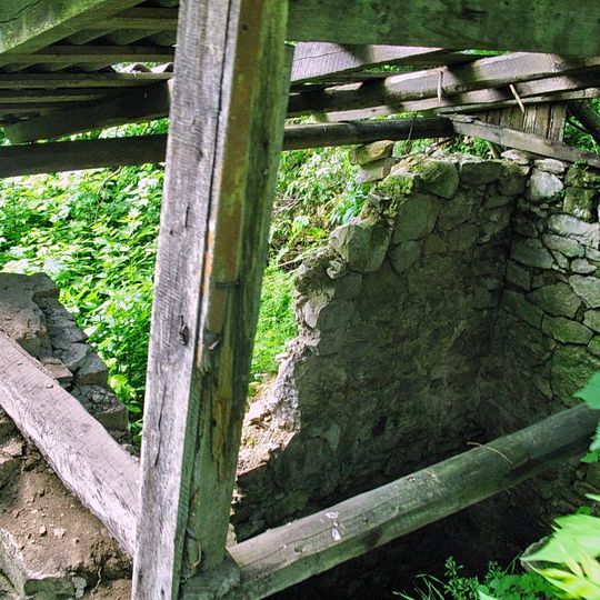 Zamek w Grzymałowie