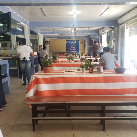 Tacos La Hija del Paisano