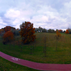 John Paul II Park in Lublin