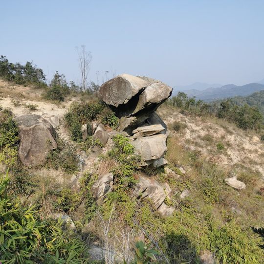 遊隼石 Falcon Rock