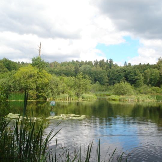 Park pałacowy w Podolu Małym