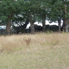 La Roche Camio gallery grave