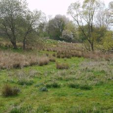 Gantofta nature reserve