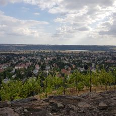 Minckwitzscher Weinberg